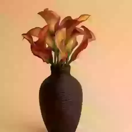 Curvy Vase